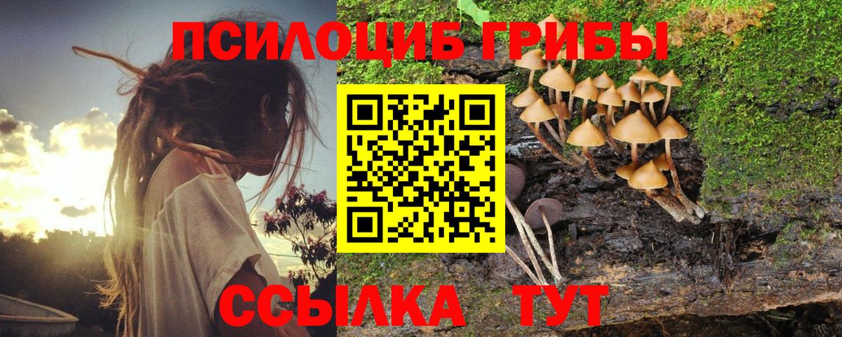 Галлюциногенные грибы Magic Shrooms Раменское