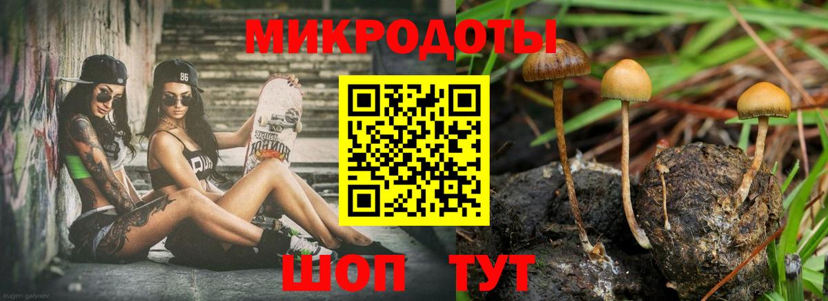 купить наркоту  Вход с VPN  Раменское  Галлюциногенные грибы мухоморы  Псилоцибиновые грибы мухоморы 